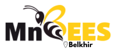 MnBees Gafsa - Belkhir